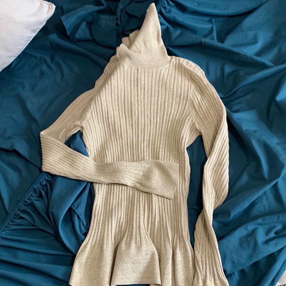 Metallic turtleneck